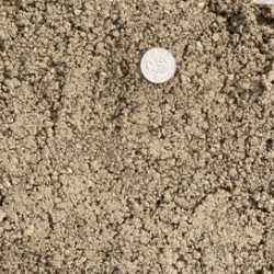 310 Limestone Screenings